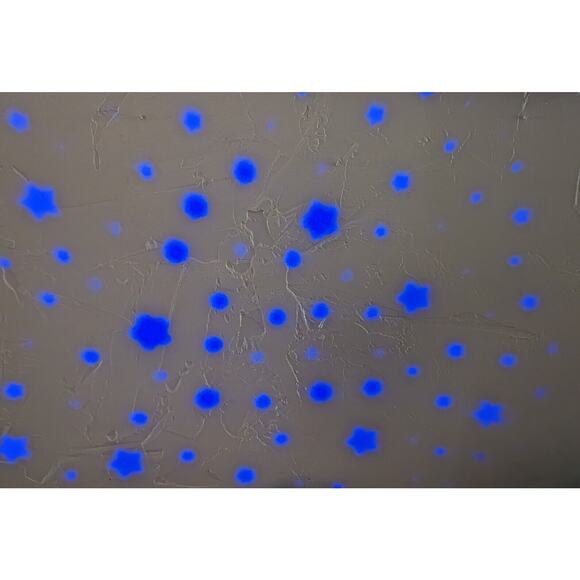 SHARPER IMAGE Star Projection DIGITAL CLOCK Nature Sounds Alarm Clock - Picture 7 of 8